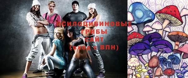 мдпв Арсеньев