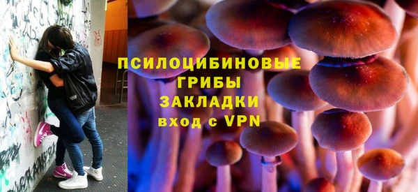 мдпв Арсеньев