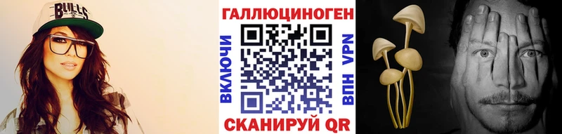 Псилоцибиновые грибы MAGIC MUSHROOMS  кракен сайт  Гудермес  купить  