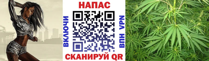 kraken зеркало  Гудермес  Канабис гибрид 